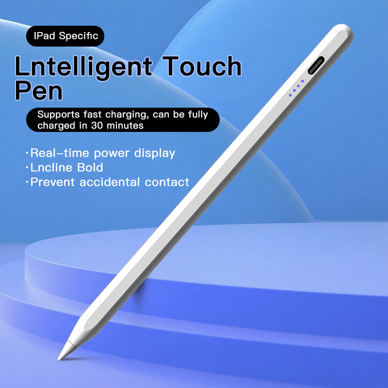Penna stilo per Apple Pencil c - Ipad Pencil Stylus recensione e prezzo
