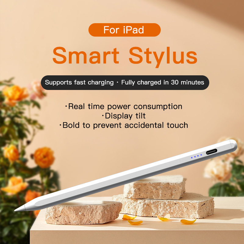Penna stilo per Apple Pencil c - Ipad Pencil Stylus recensione e prezzo